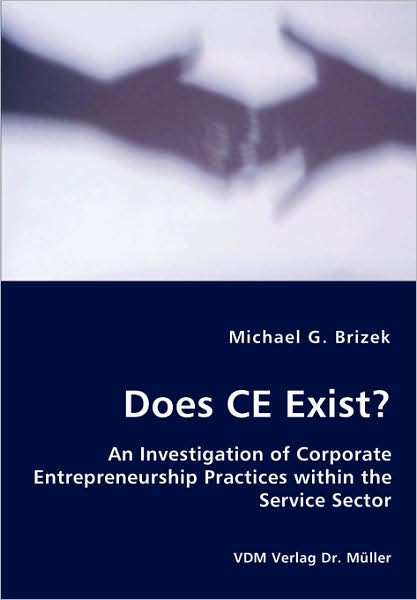 Does Ce Exist? - An Investigation Of Corporate Entrepreneurship Practices Within The Service Sector