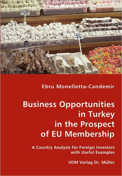 Business Opportunities in Turkey in the Prospect of EU Membership