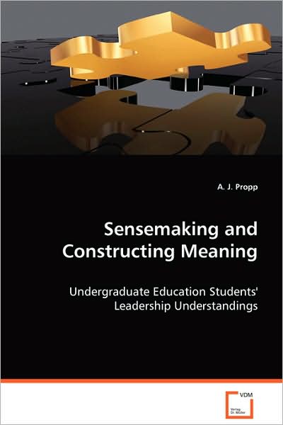 Sensemaking and Construction Meaning