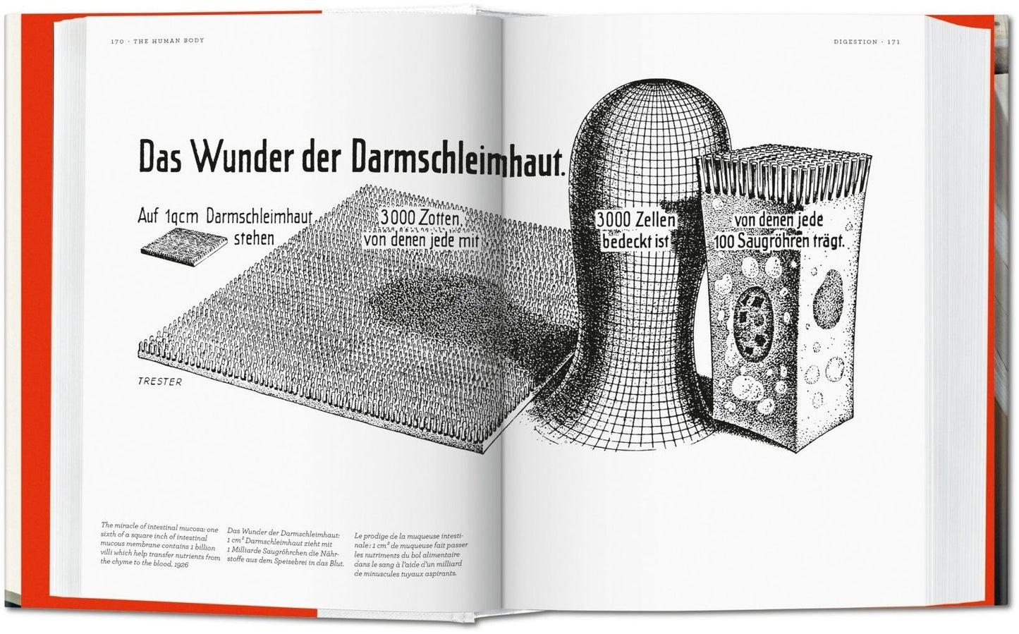 Fritz Kahn: Infographics Pioneer