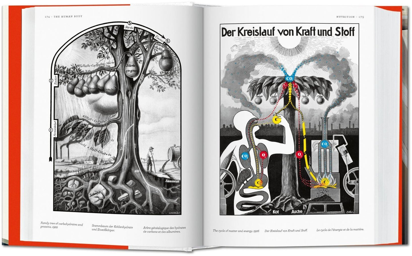 Fritz Kahn: Infographics Pioneer