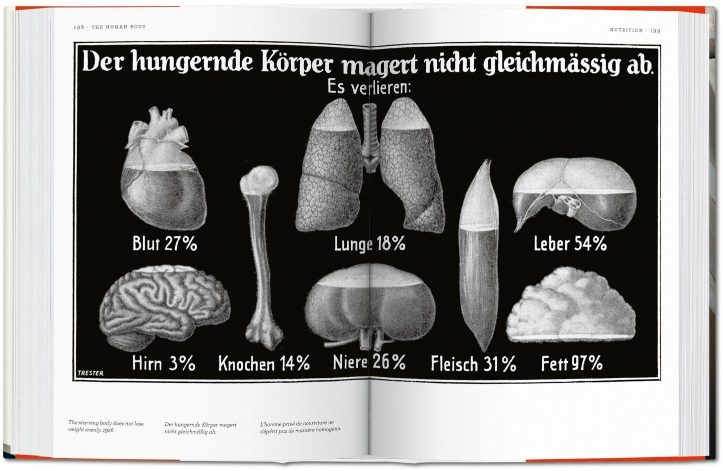 Fritz Kahn: Infographics Pioneer