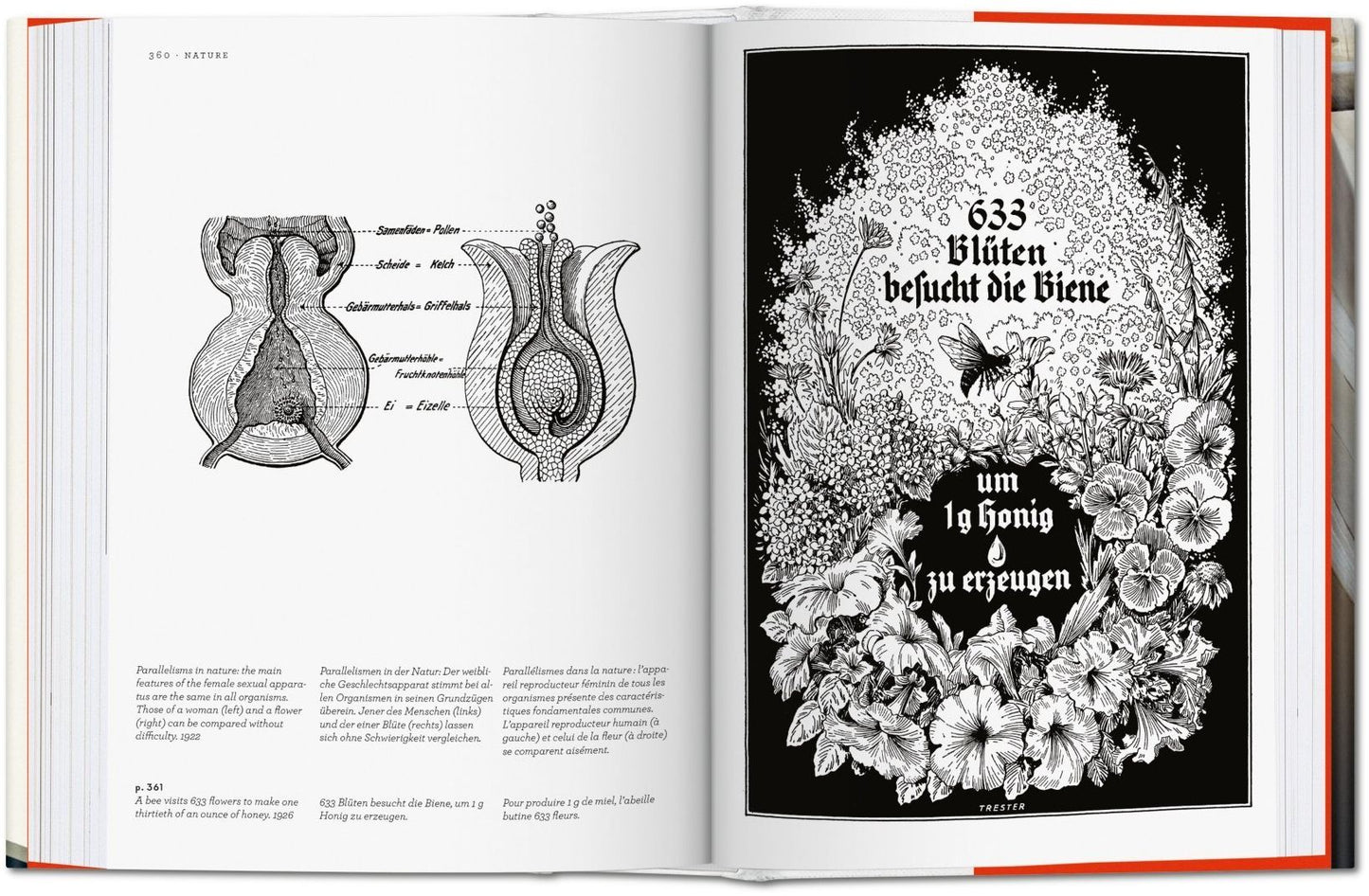 Fritz Kahn: Infographics Pioneer