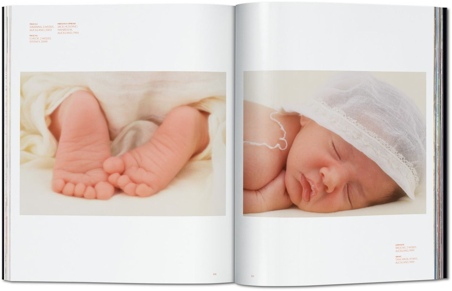 Anne Geddes: Small World