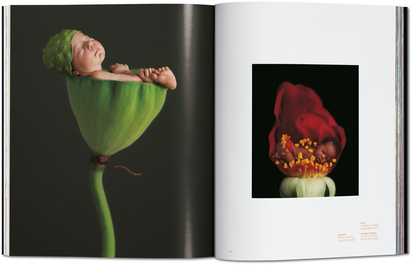 Anne Geddes: Small World