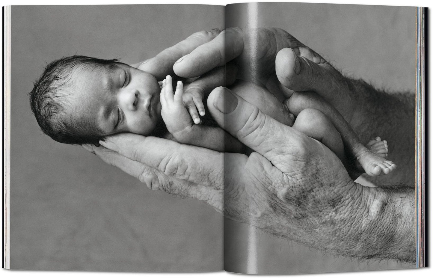Anne Geddes: Small World