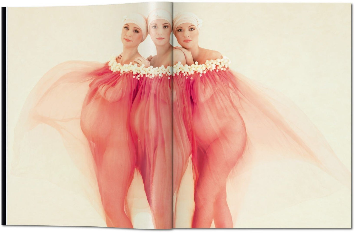 Anne Geddes: Small World