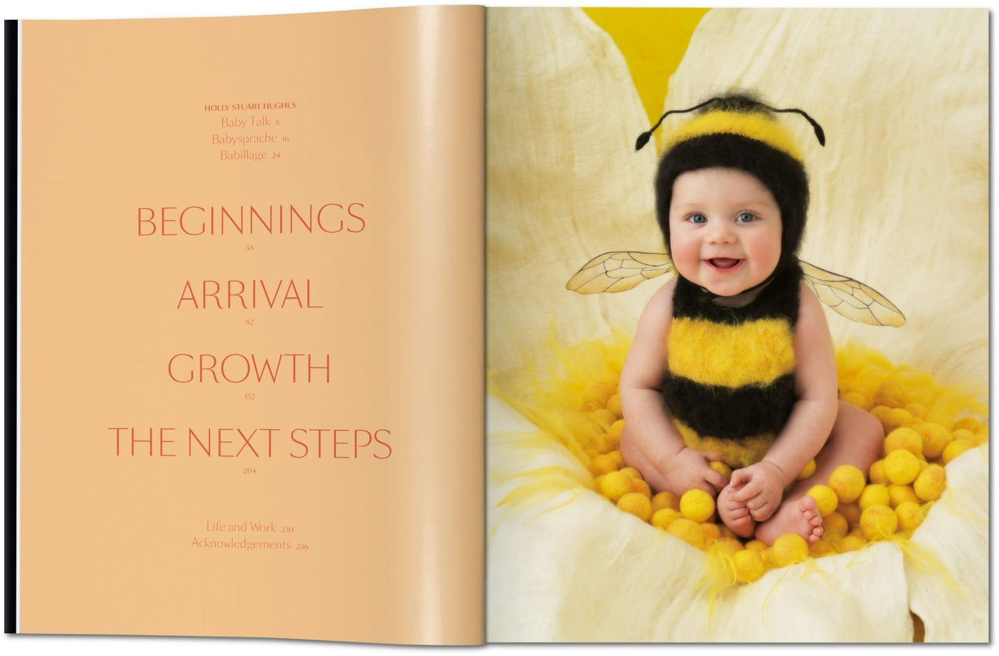 Anne Geddes: Small World
