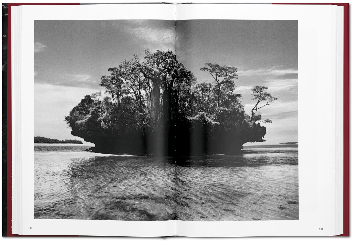 Sebastiao Salgado. Genesis