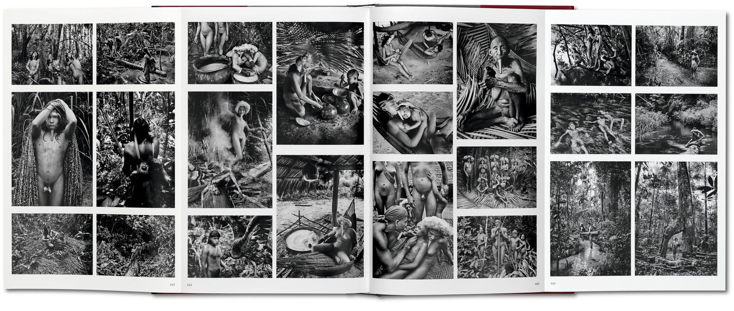 Sebastiao Salgado. Genesis