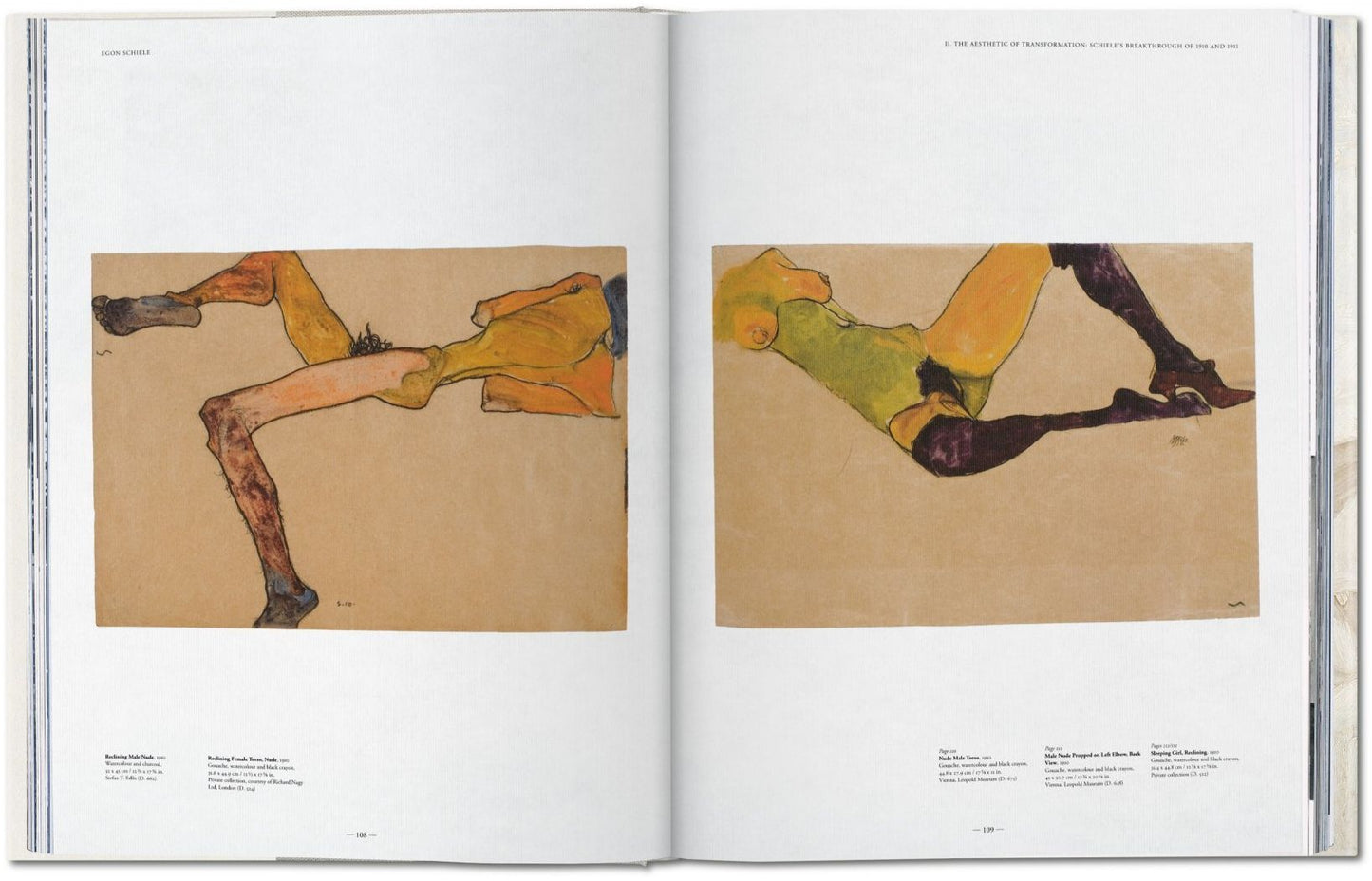 Egon Schiele: The Complete Paintings, 1909-1918 XL