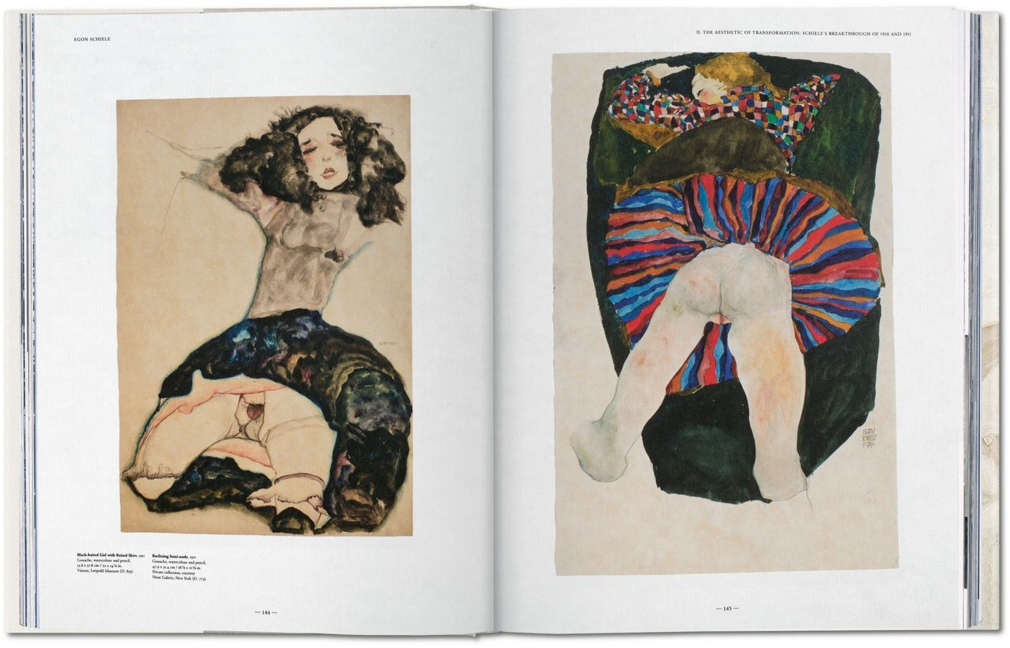 Egon Schiele: The Complete Paintings, 1909-1918 XL