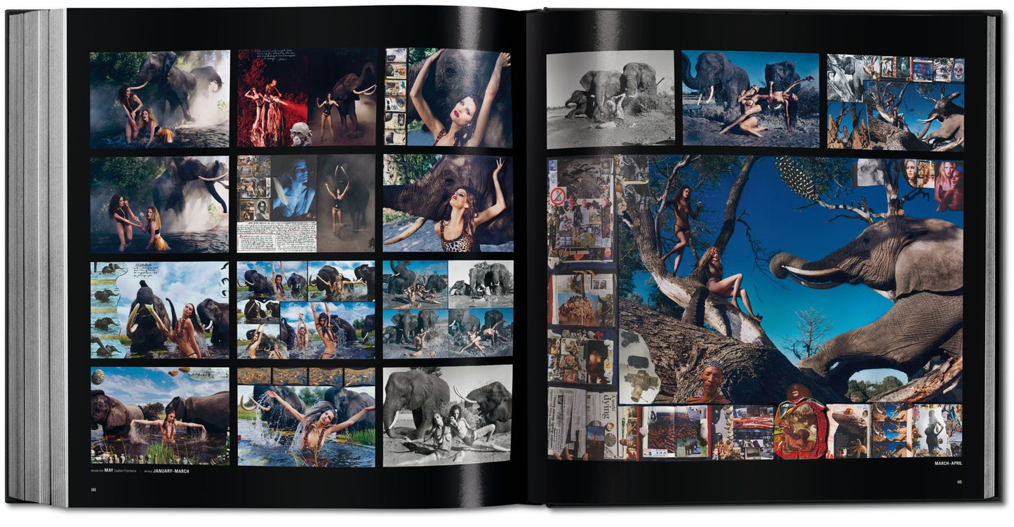 Pirelli - The Calendar: 50 Years and More