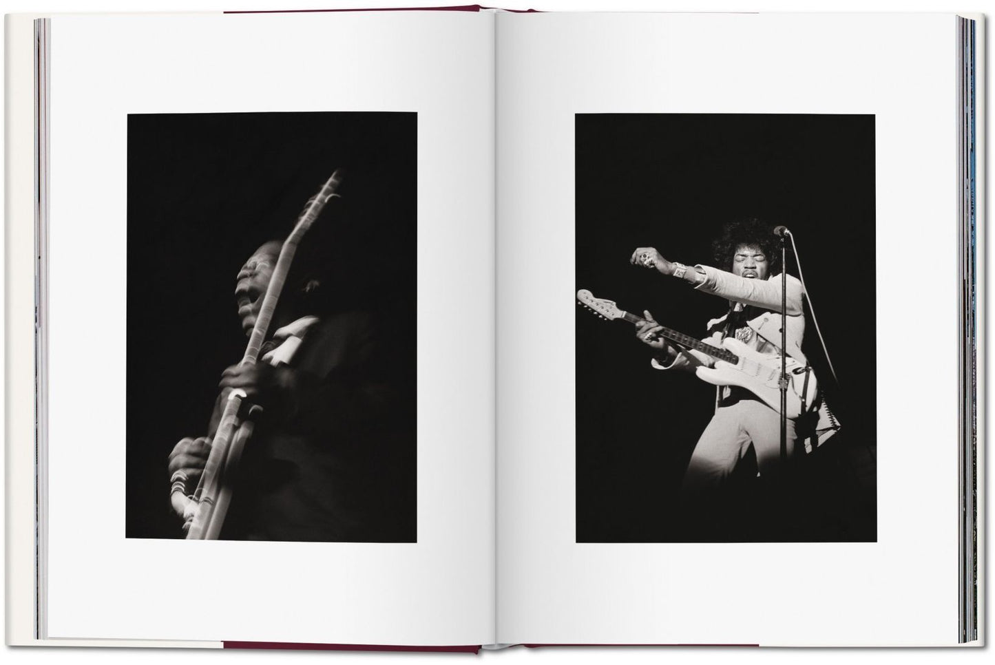 Linda McCartney: Life in Photographs
