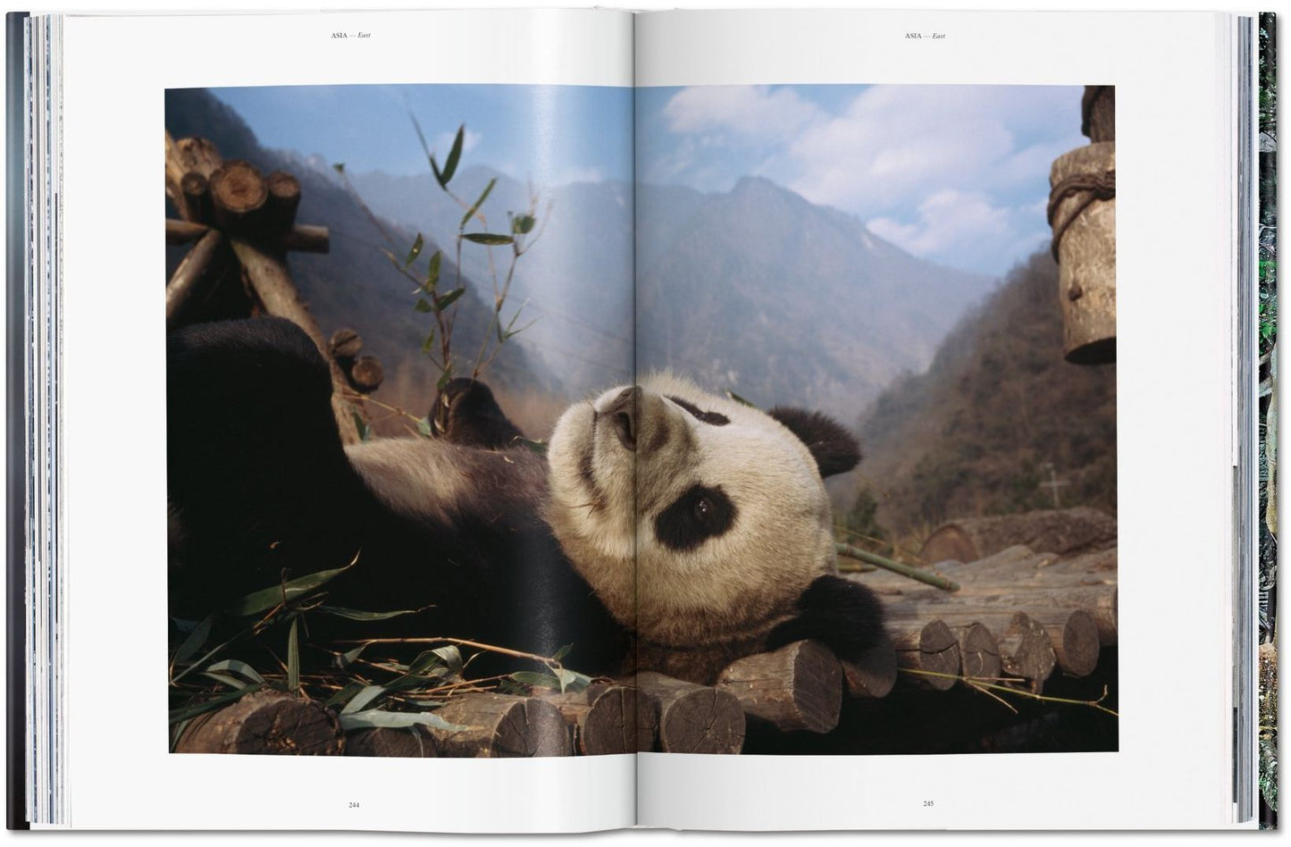 National Geographic: Around the World in 125 Years - Asia & Oceania