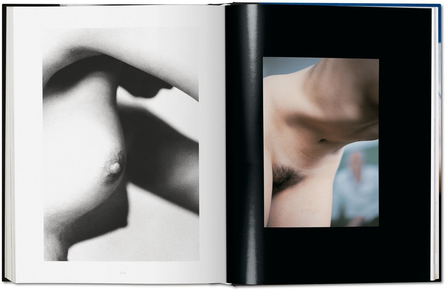 Ralph Gibson: Nude