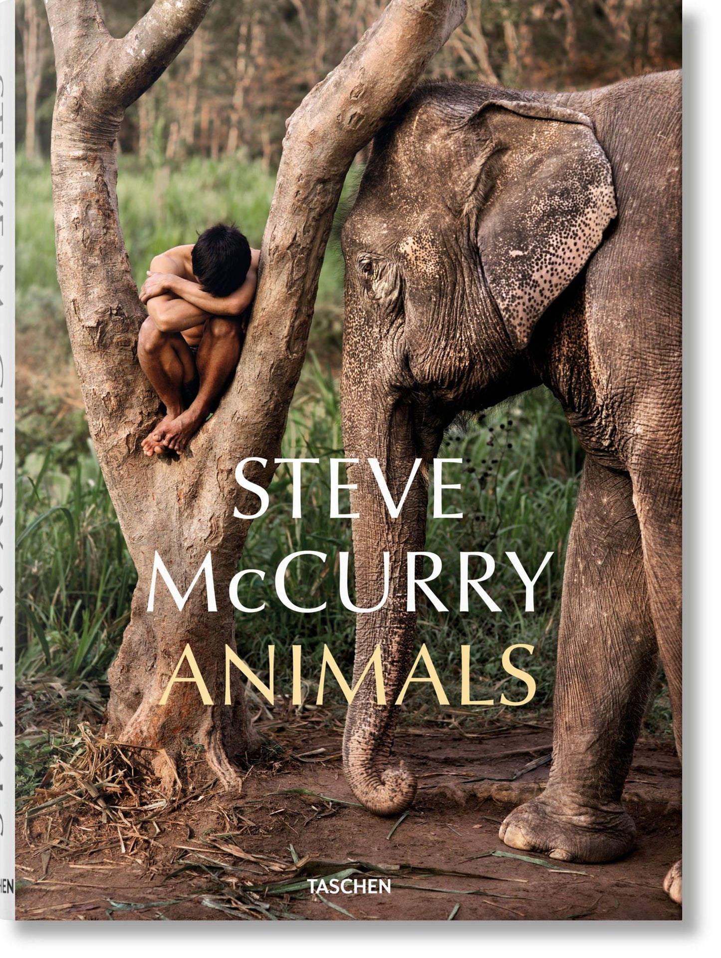Steve Mccurry : Animals