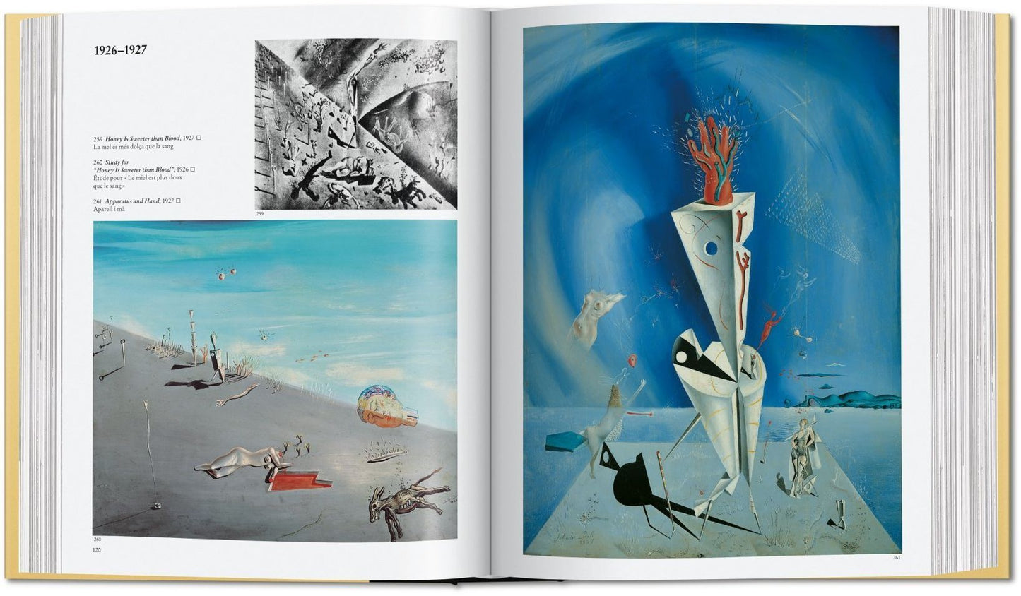 Dal¡ : The Paintings