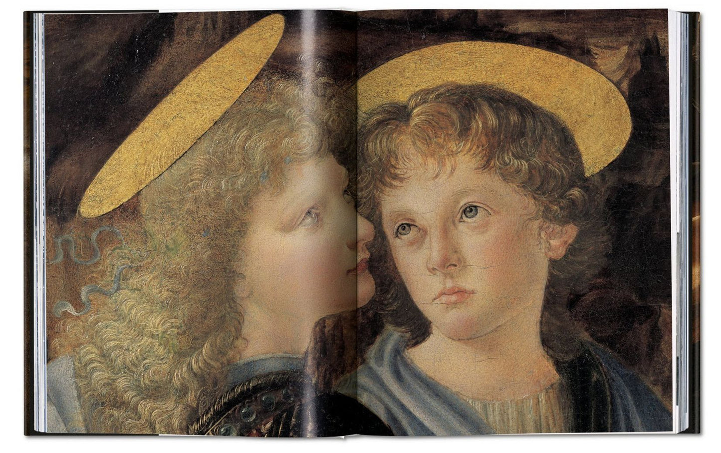 Leonardo: The Complete Photographs and Drawings