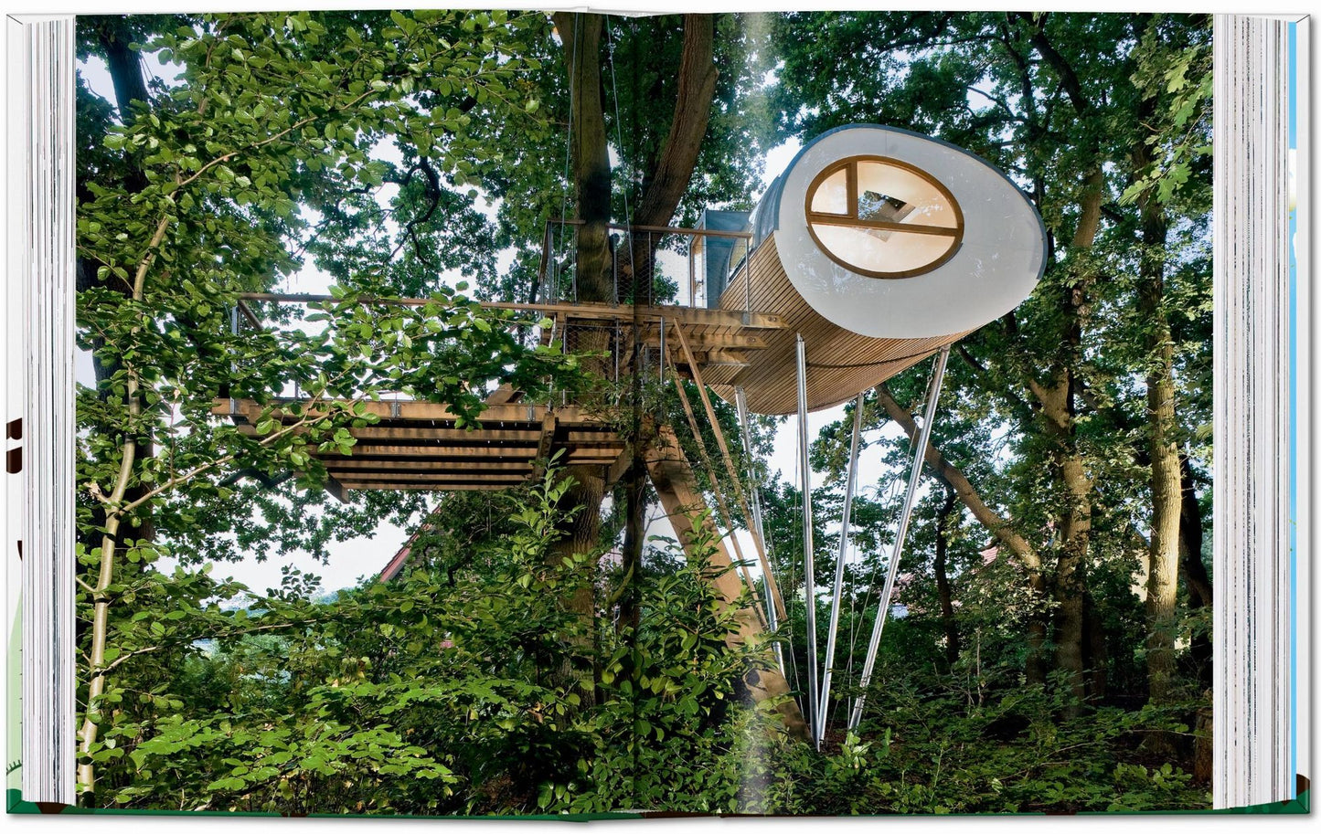Tree Houses. 40th Ed.