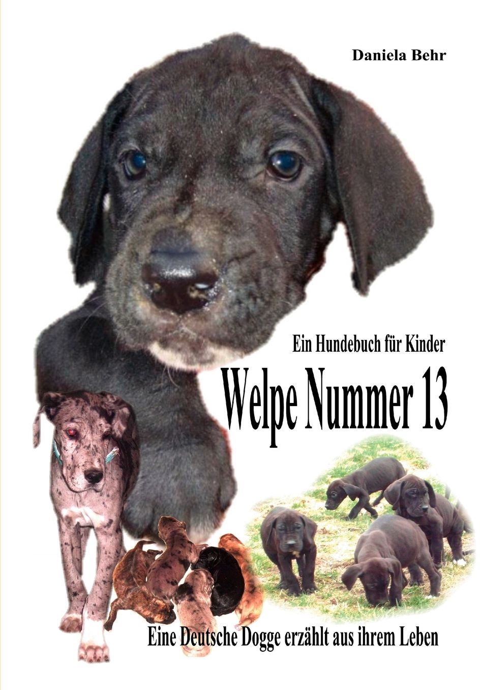Welpe Nummer 13 Ein Hundekind Erzahlt Aus Seinem Leben Die Geschichte Einer Deutschen Dogge