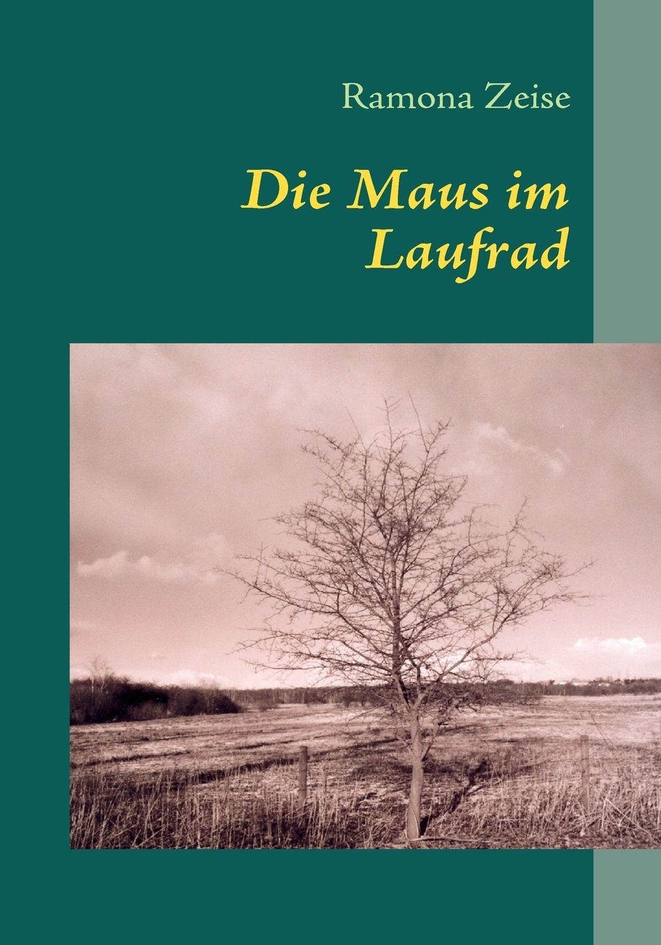 Die Maus Im Laufrad