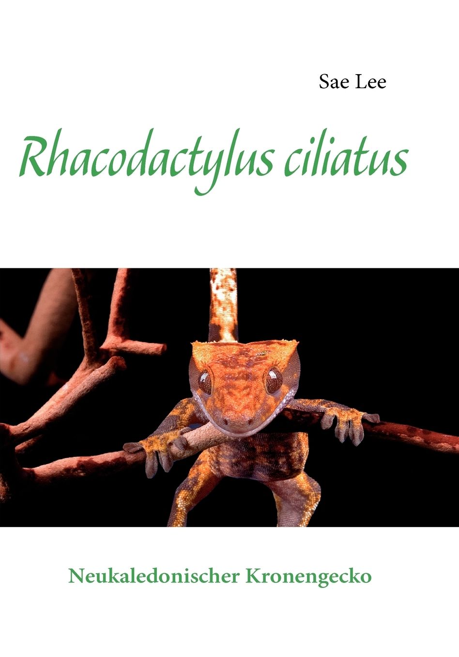 Rhacodactylus Ciliatus