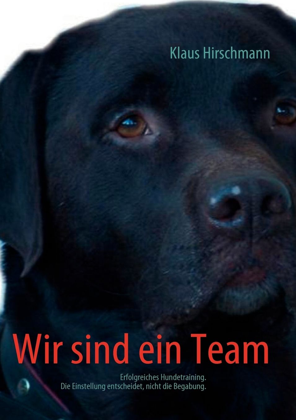 Wir Sind Ein Team