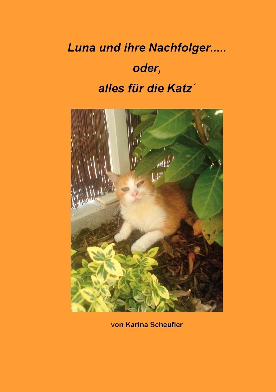 Luna Und Ihre Nachfolger....