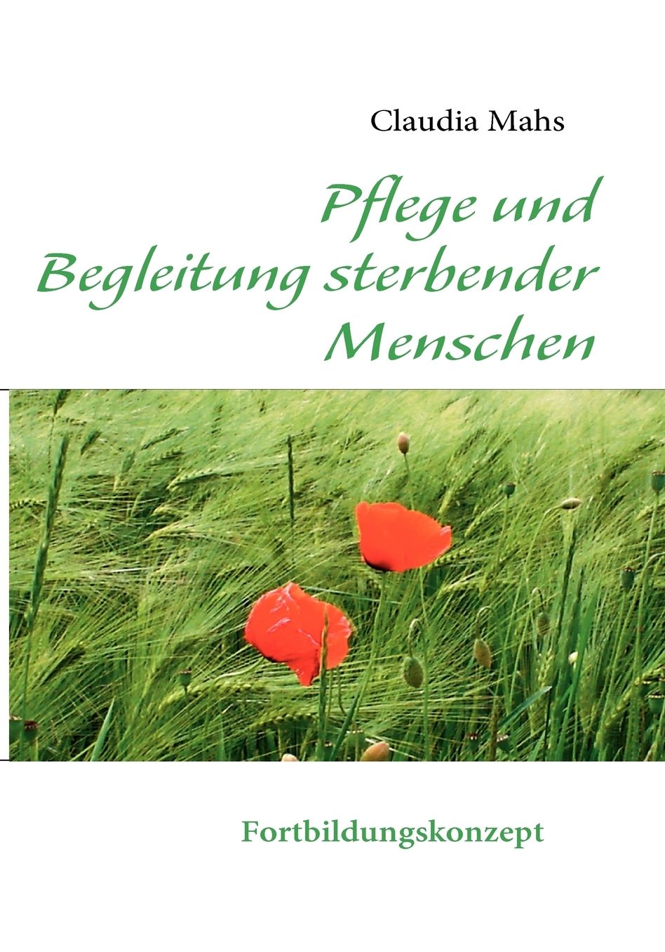 Pflege Und Begleitung Sterbender Menschen