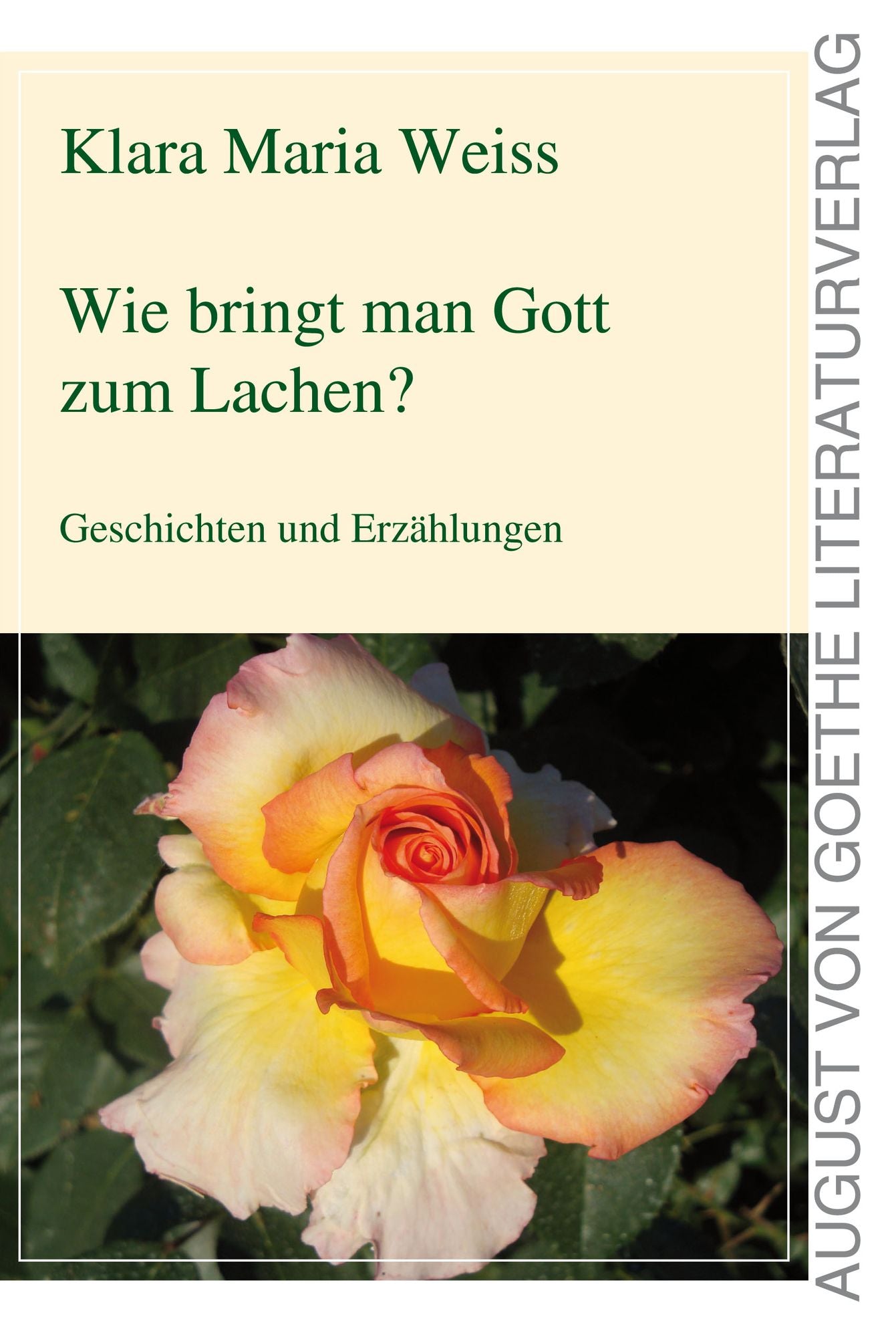 Wie bringt man Gott zum Lachen?: Geschichten und Erzählungen
