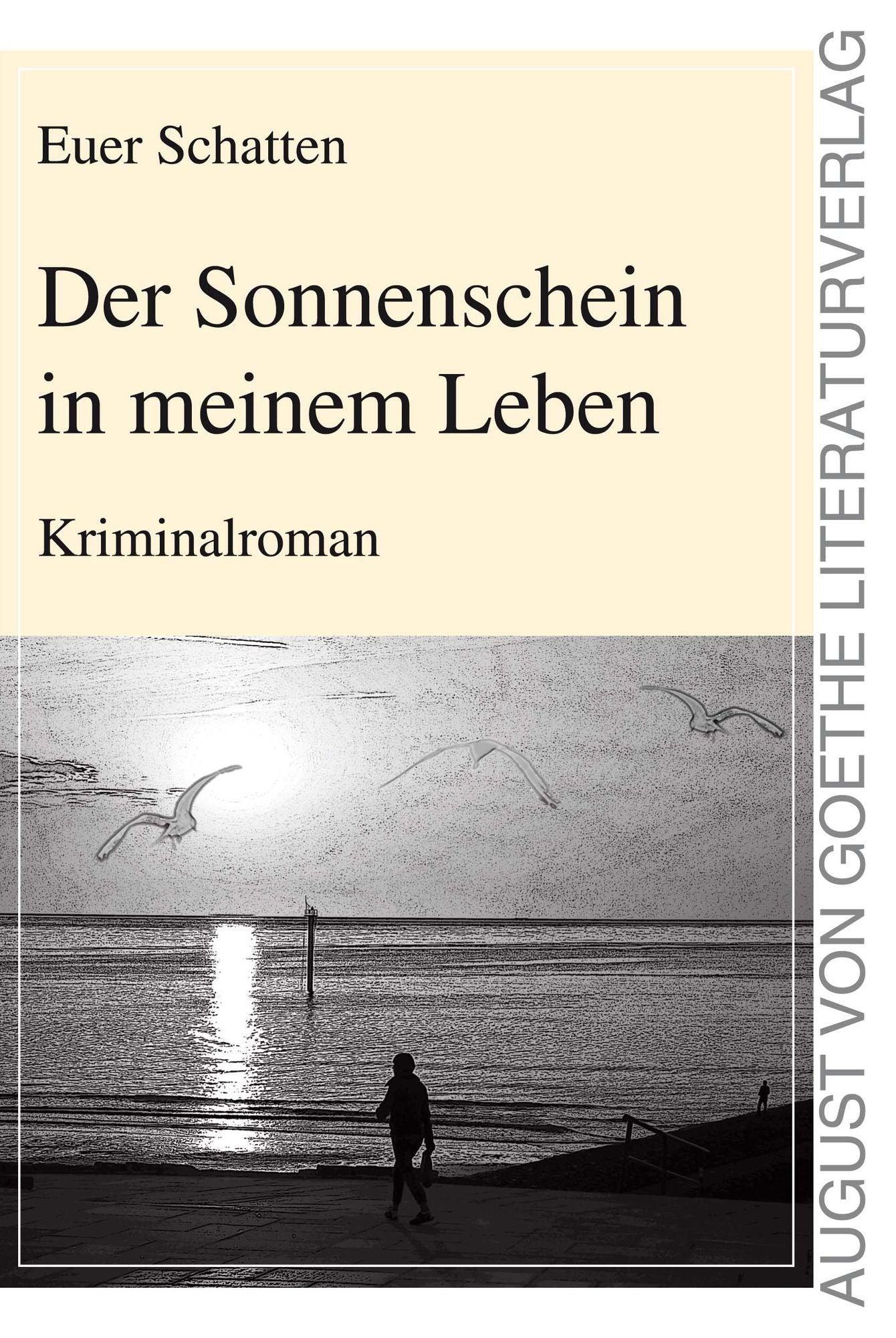 Der Sonnenschein in meinem Leben: Kriminalroman