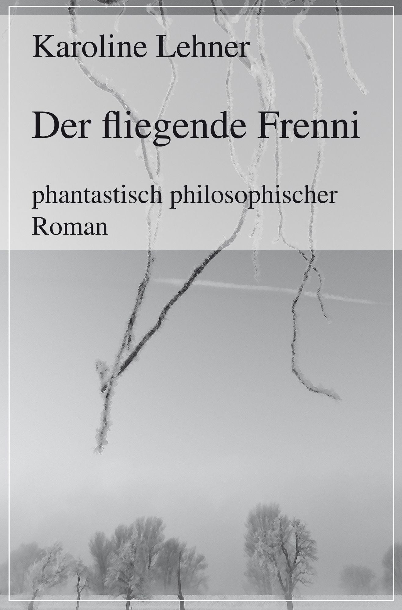 Der fliegende Frenni: phantastisch philosophischer Roman