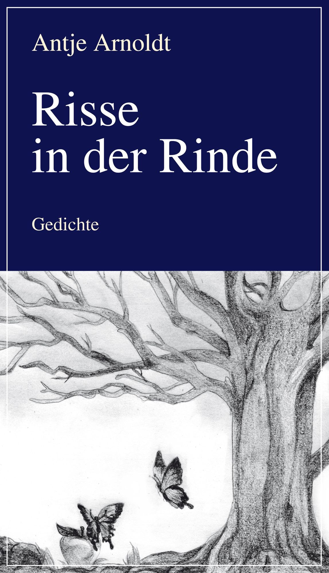 Risse in der Rinde: Gedichte