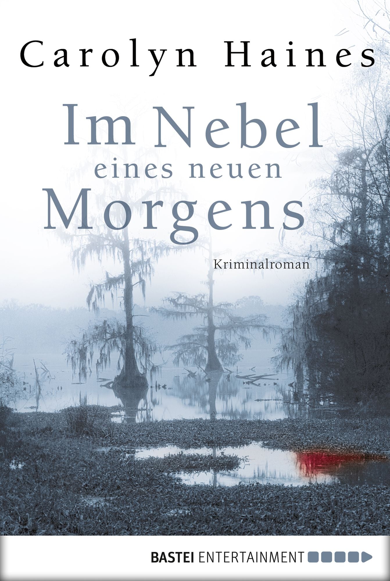 Im Nebel eines neuen Morgens: Kriminalroman
