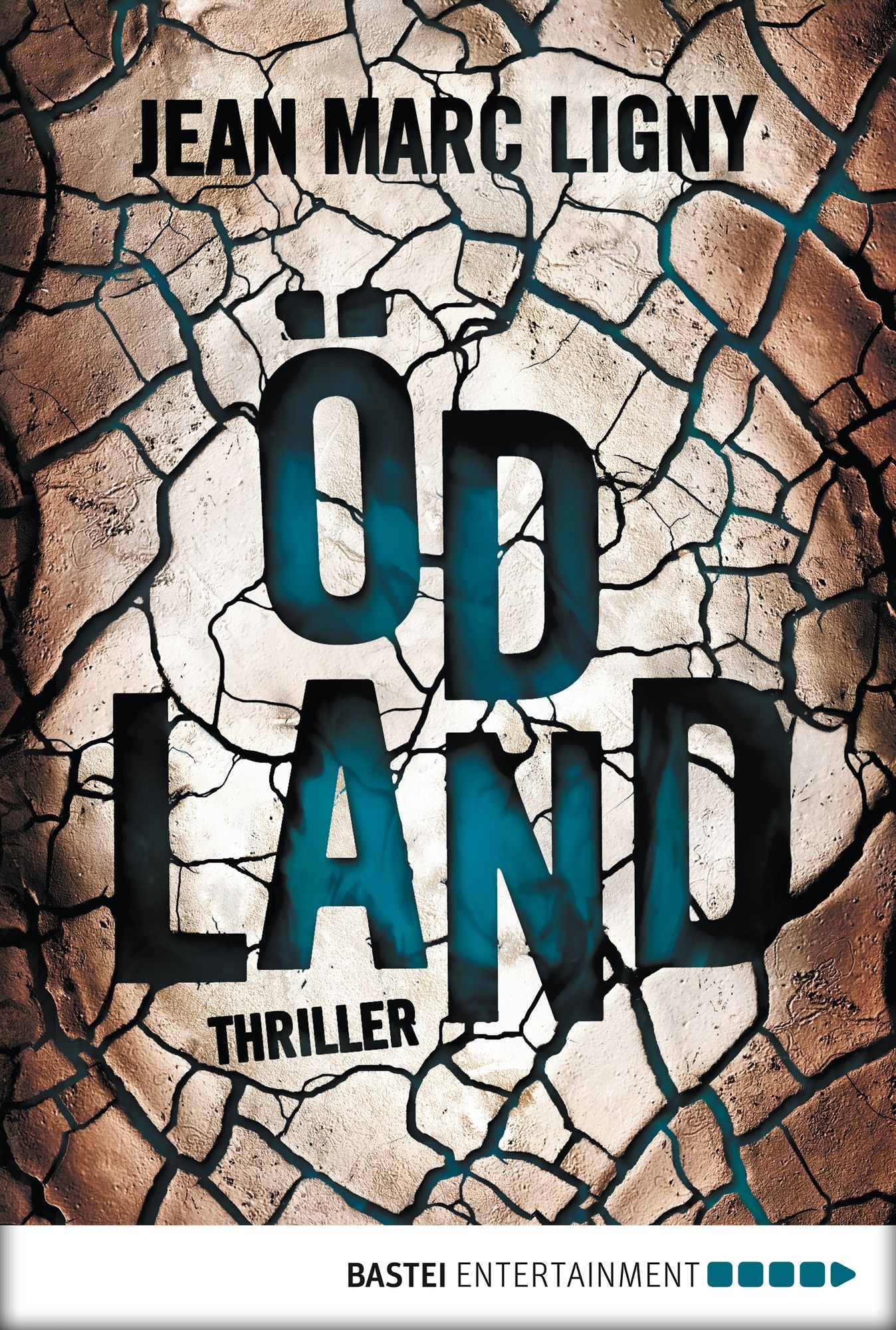 Ödland: Thriller