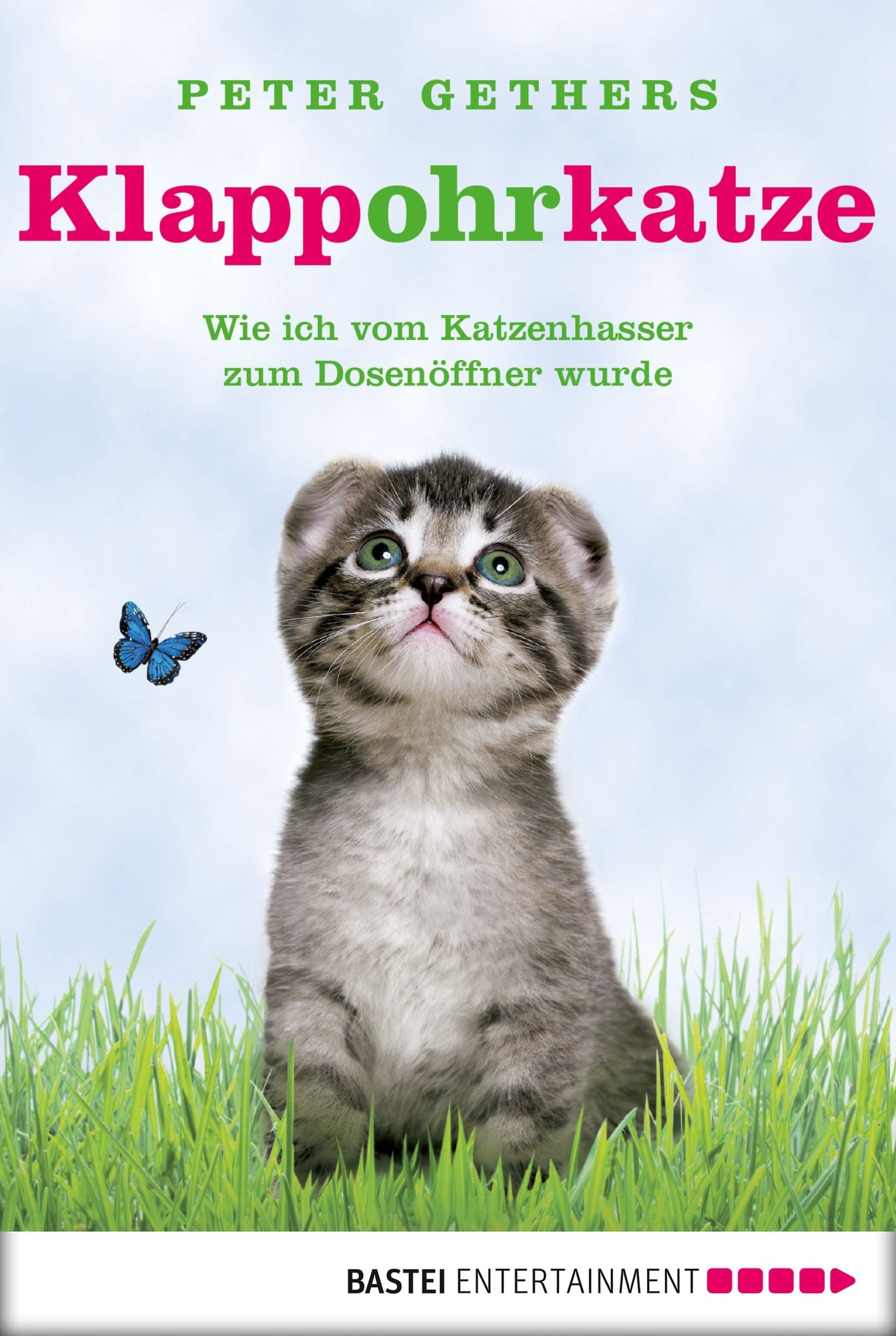 Klappohrkatze: Wie ich vom Katzenhasser zum Dosenöffner wurde