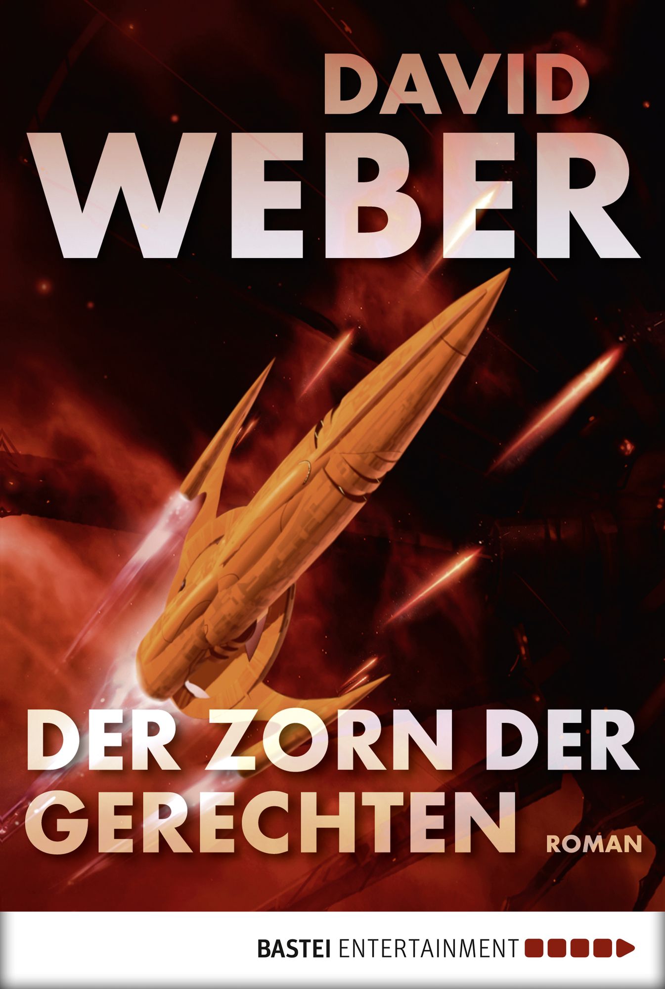 Der Zorn der Gerechten: Roman