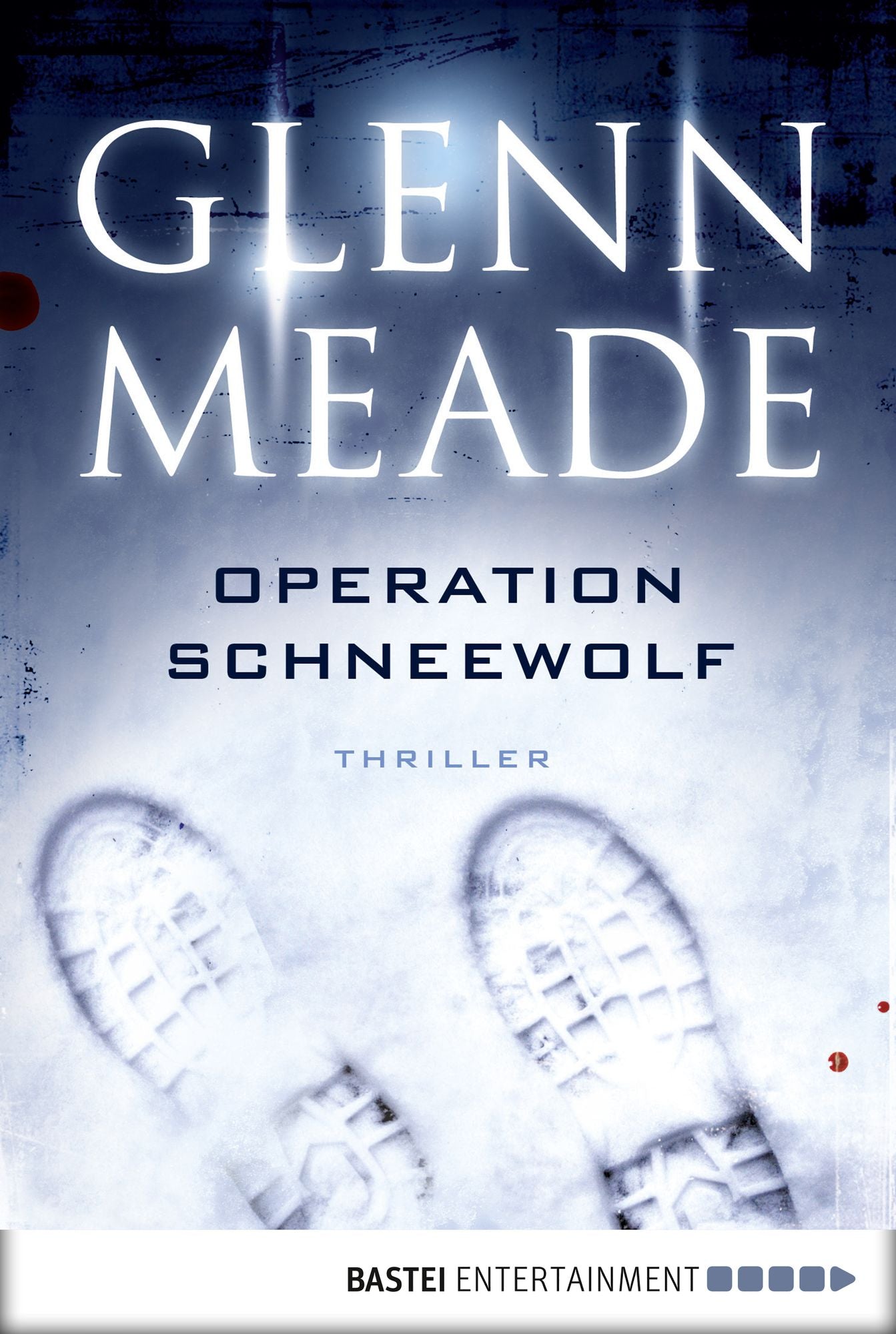 Operation Schneewolf: Thriller