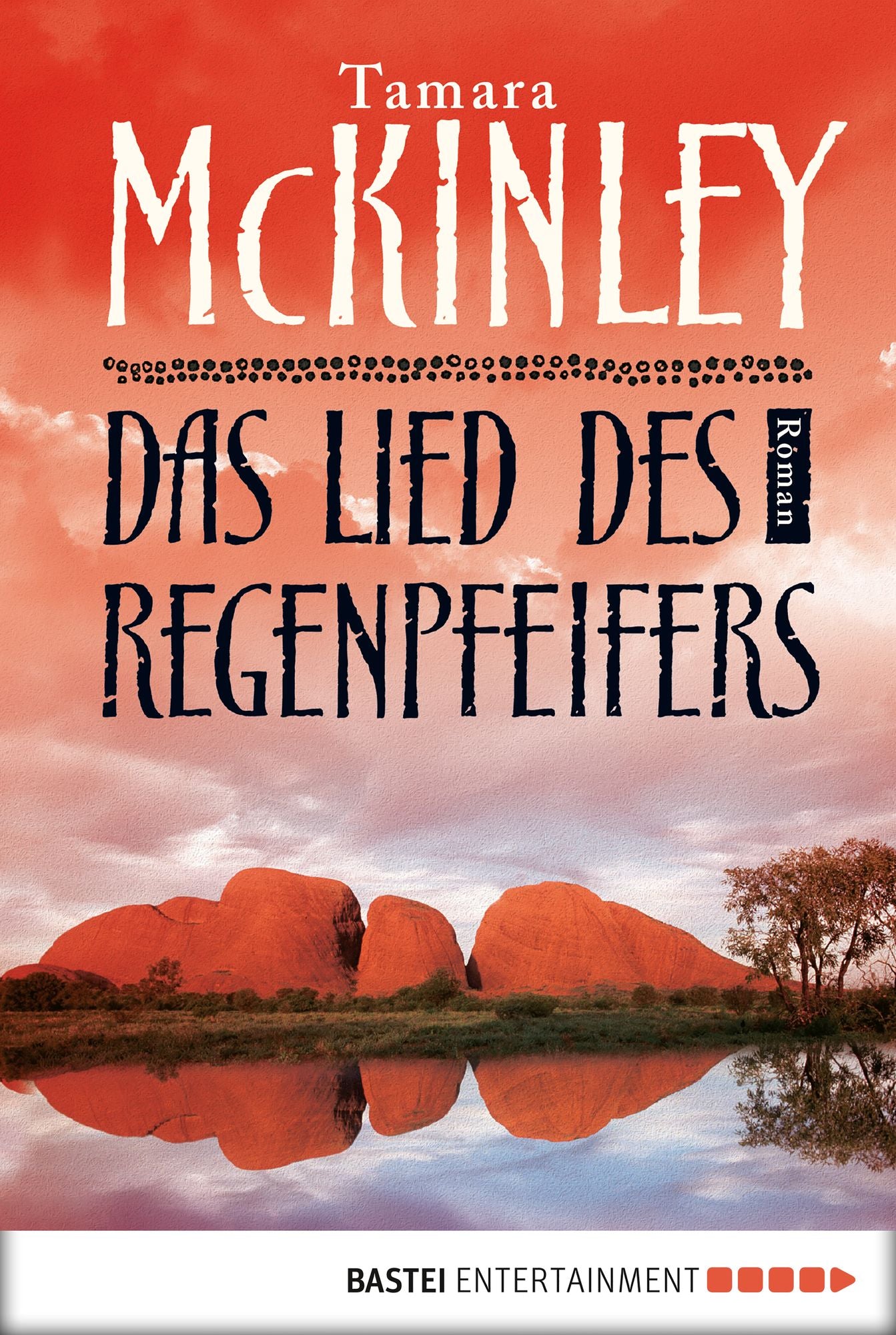 Das Lied des Regenpfeifers: Roman
