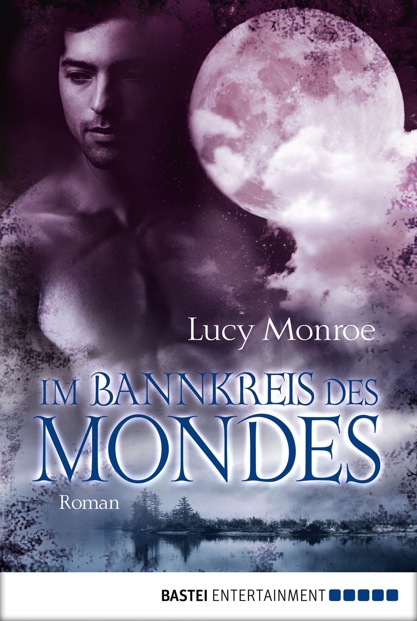 Im Bannkreis des Mondes: Roman