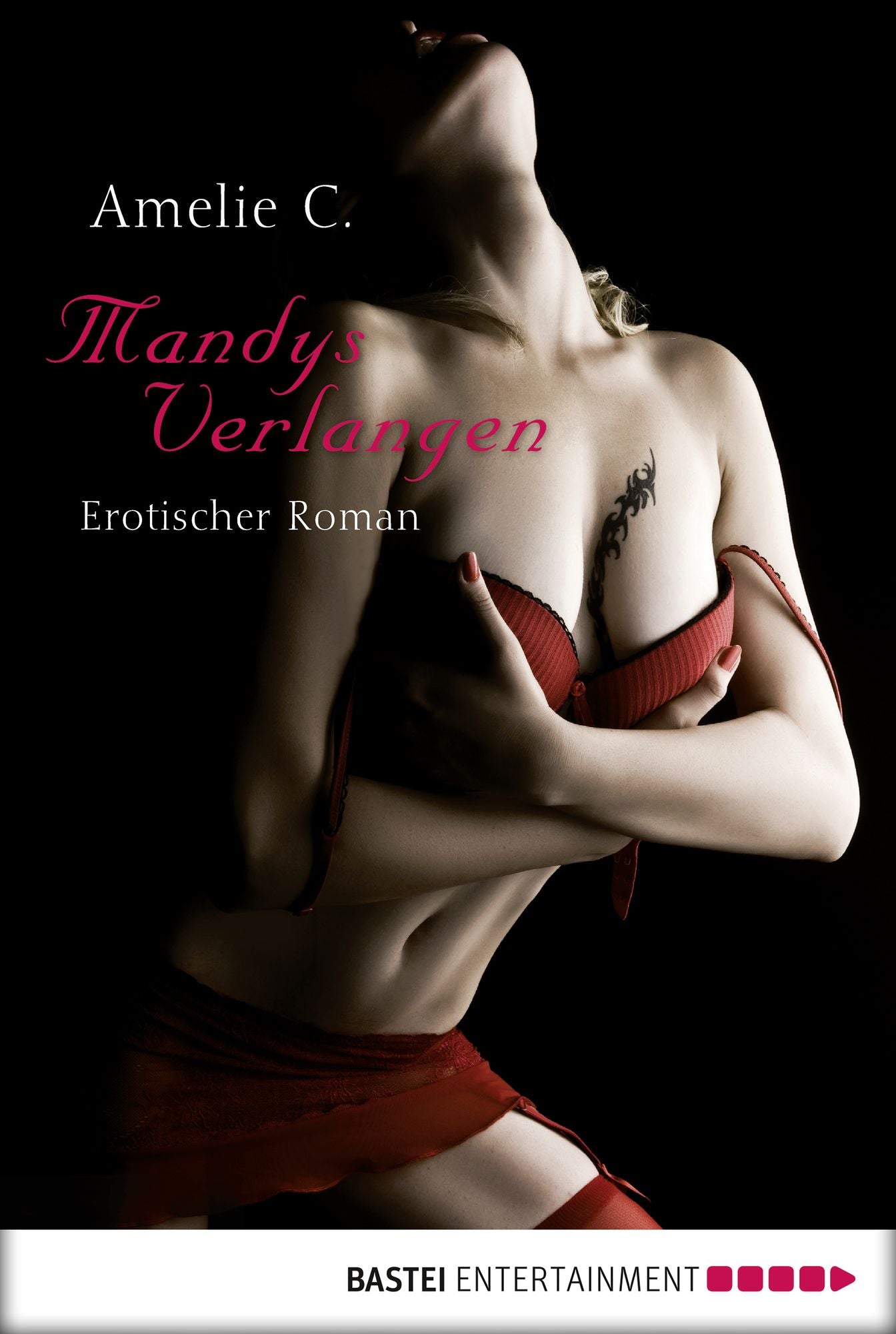 Mandys Verlangen: Erotischer Roman