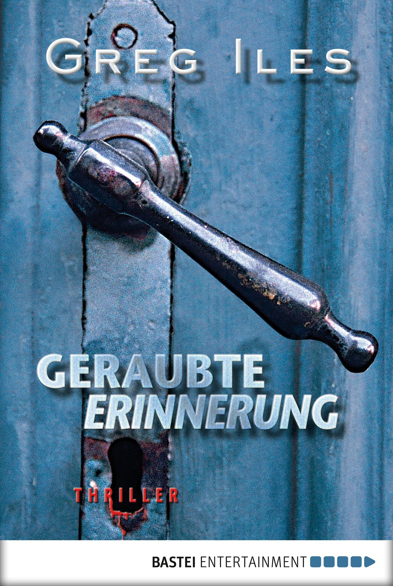 Geraubte Erinnerung: Thriller