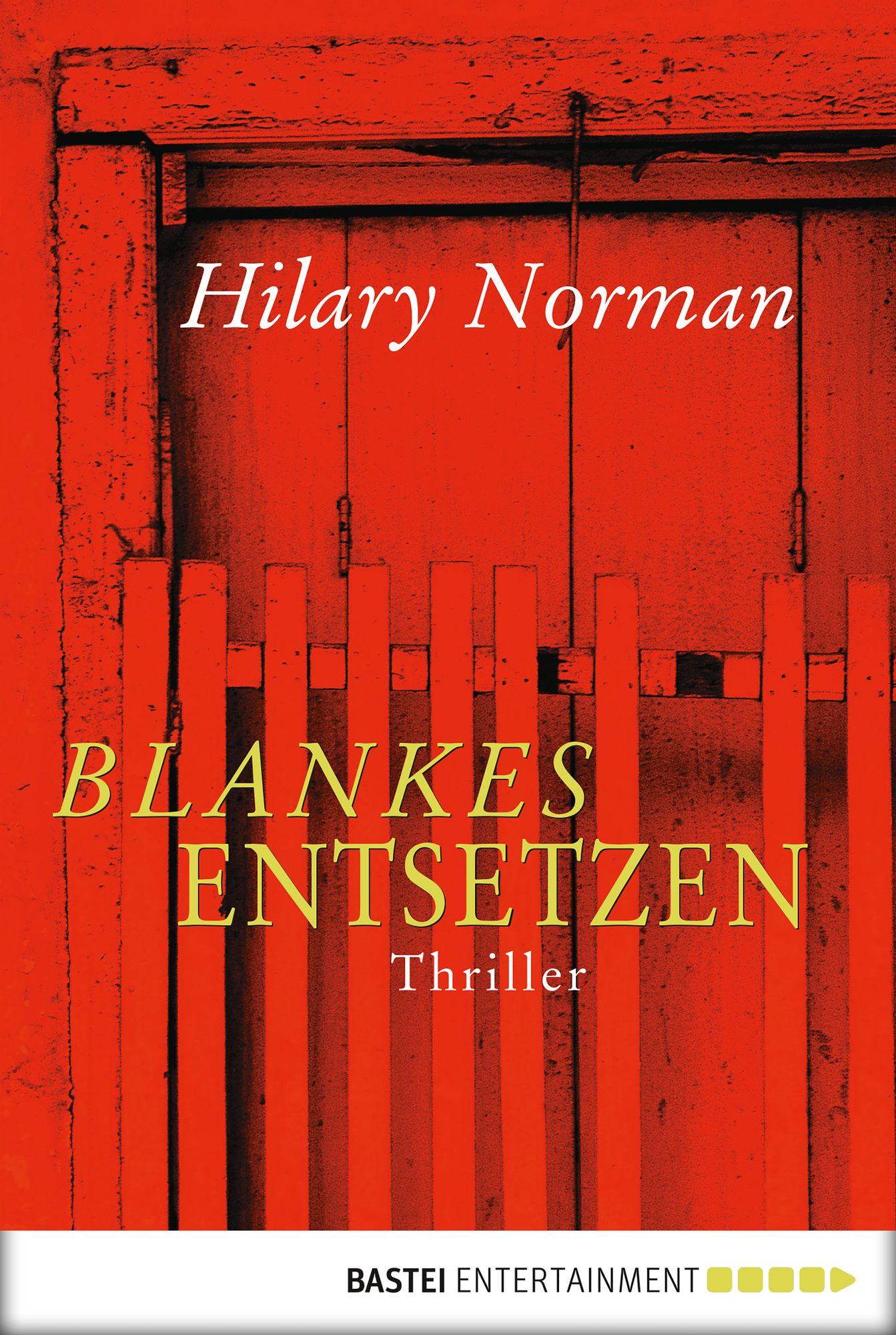 Blankes Entsetzen: Thriller
