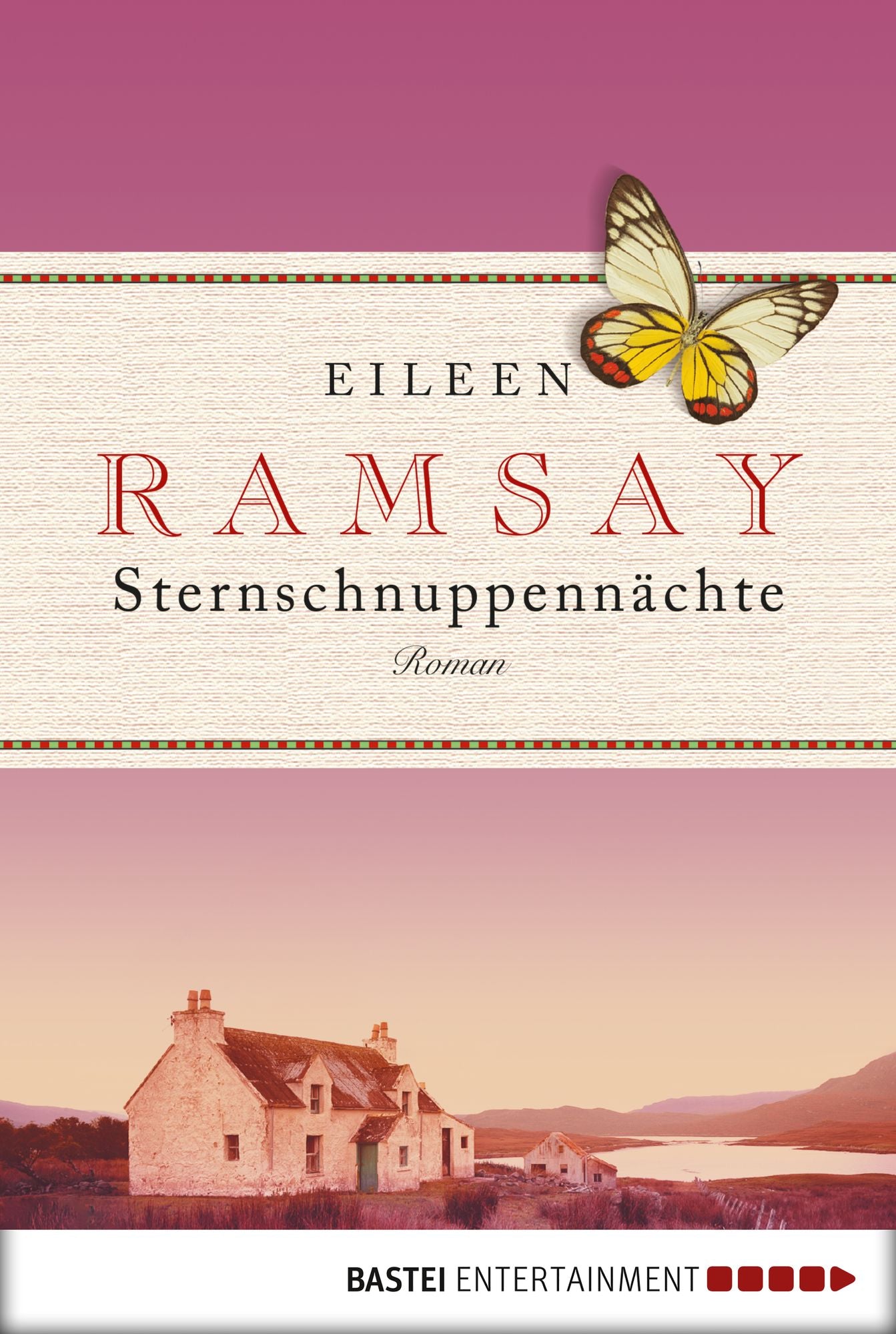 Sternschnuppennächte: Roman