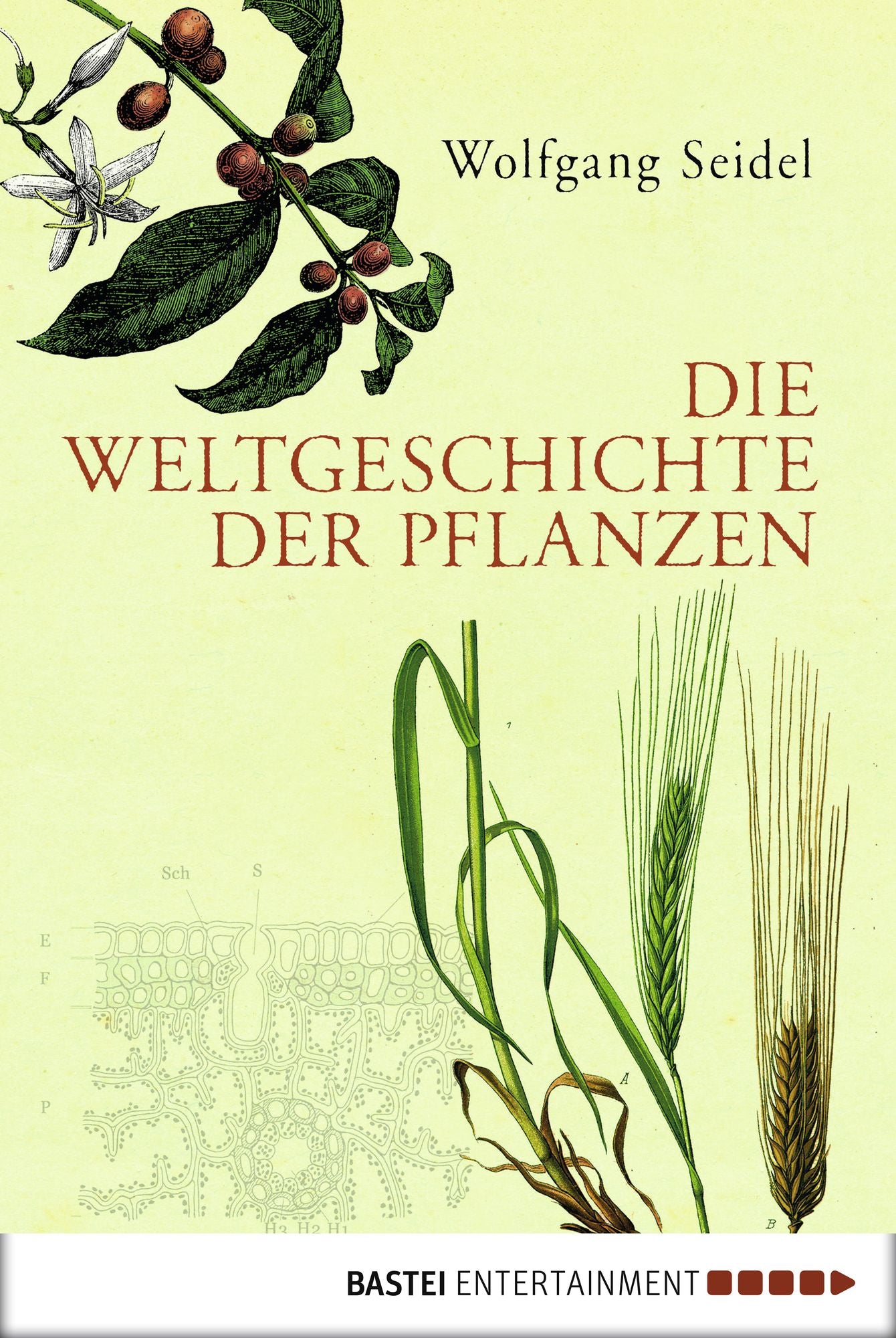 Die Weltgeschichte der Pflanzen