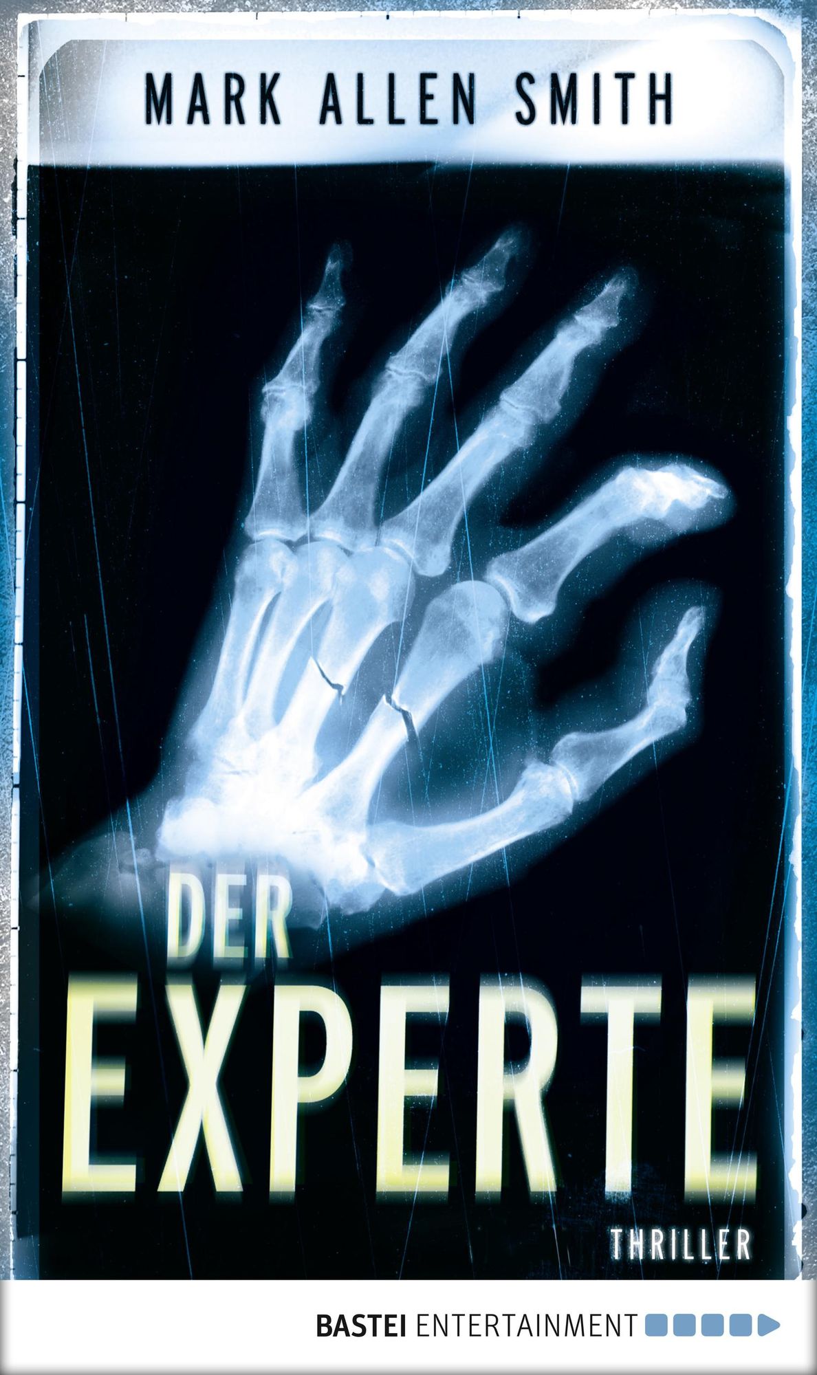 Der Experte: Thriller