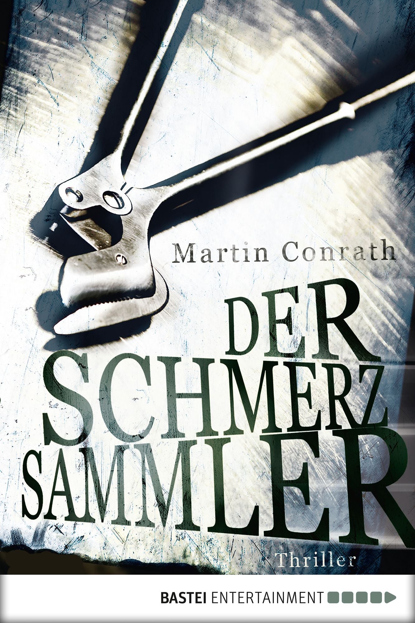 Der Schmerzsammler: Thriller