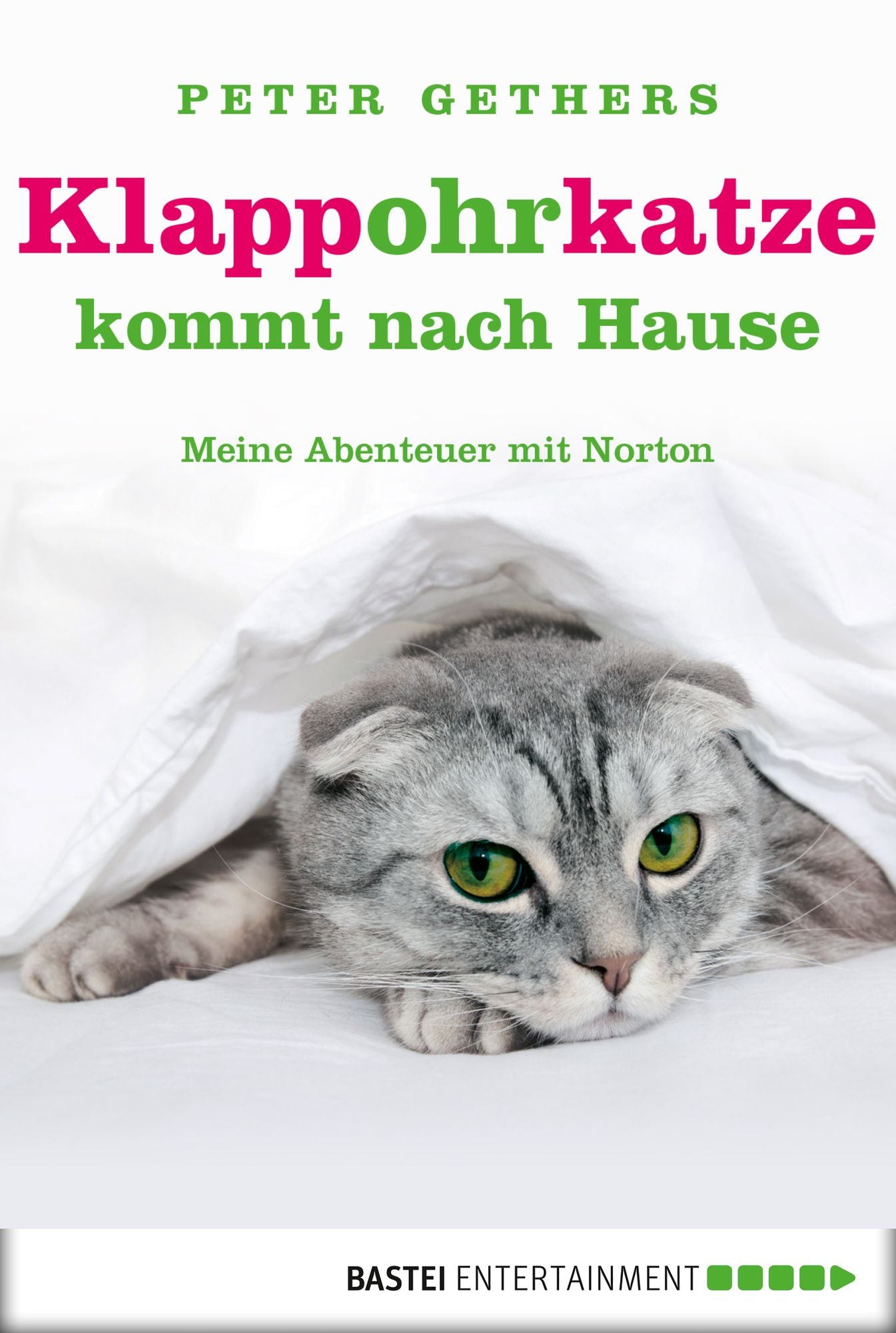 Klappohrkatze kommt nach Hause: Meine Abenteuer mit Norton