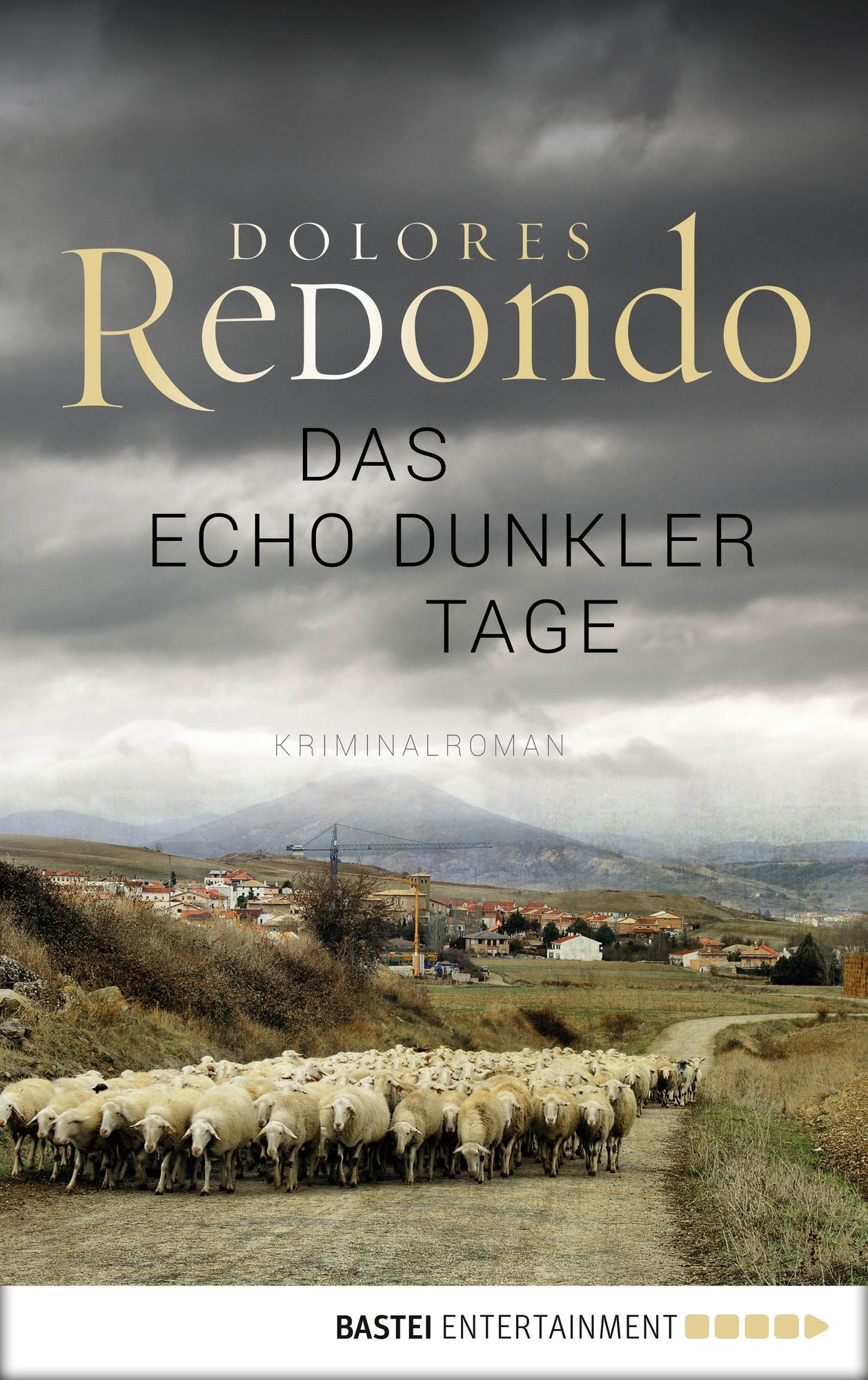 Das Echo dunkler Tage: Kriminalroman